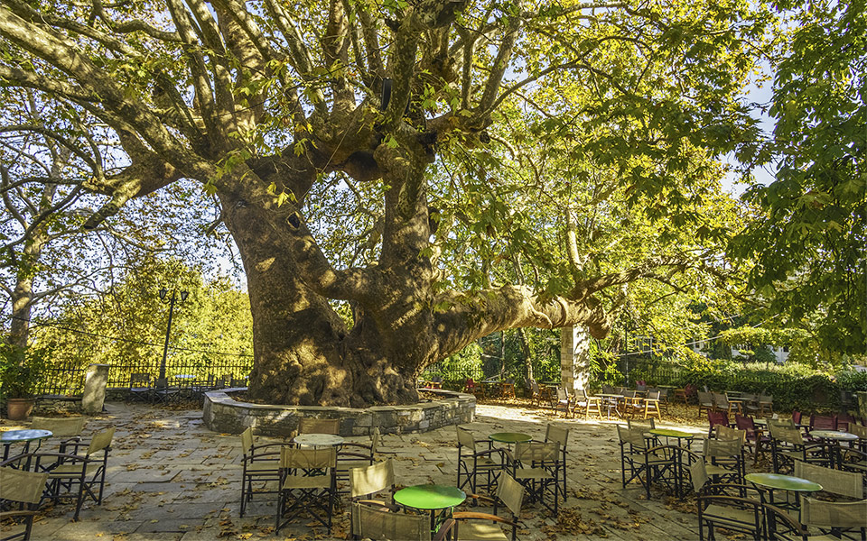 Main square in Tsakarada, Pelion