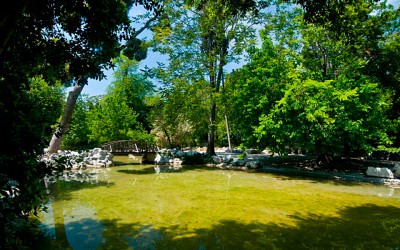 A Green Oasis in the Heart of Athens