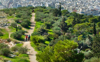 WWF Greece Introduces App Mapping Urban Green Areas