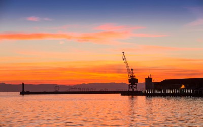 Where Culture Drops Anchor