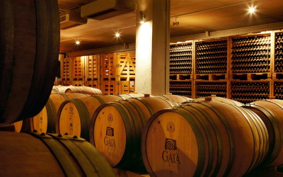 Gaia Wines