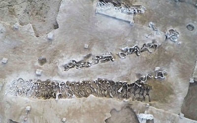 Archaeologists Unearth Mass <br>Graves at Faliron Delta
