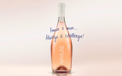 A.MUSE, Dry Valley Rose that Looks to the Sea