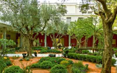 A Green Paradise in A Museum Garden