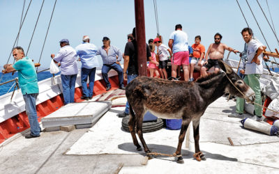 Are There any Farmers on Mykonos?