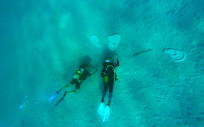 Crete’s Sea to Shore Exhibition