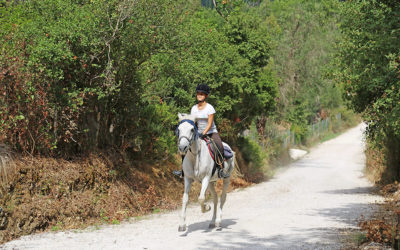 Active Holidays on Corfu