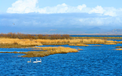 The Charm of Southern Evros