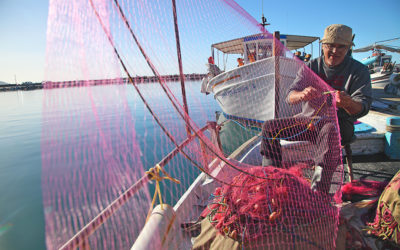 Karystos: A Year-Round Attraction