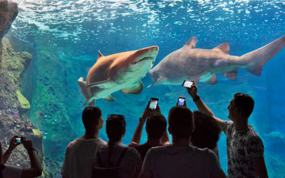 CretAquarium: Scuba Experience Without Getting Wet