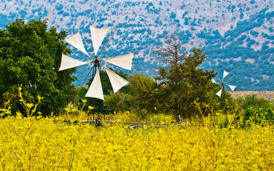 Taking it Slow in the Cretan Farmland