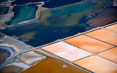 Messolongi: Heroes, Flamingoes and Bottarga