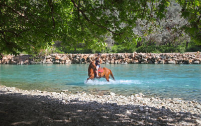 Acheron River: Knocking on the Underworld’s Door (Map Included)