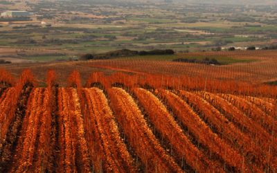 A Drama(tic) Getaway in Northern Greece