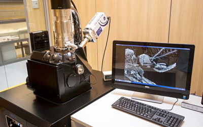 Ancient Greek Skeletons Get the CSI Treatment