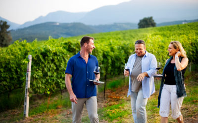 Need an Excuse to Visit the Wineries of Northern Greece?