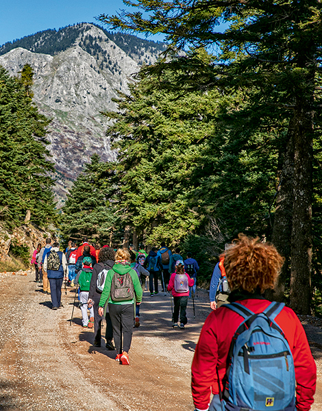 Where To Hike Near Delphi, Greece