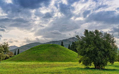 Marathon: Become an Expert in 5 Minutes