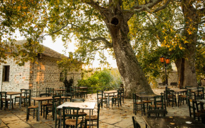 A Foodie’s Guide to Pilio