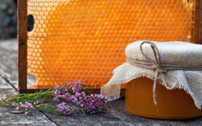 The Best Greek Honey you’ll ever Taste