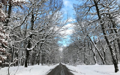 #Snowstagrams Take Greece by Storm