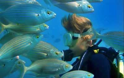 Restrictions on Diving Tourism Lifted