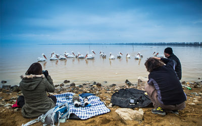 George Blonsky Shoots Greek Wildlife on Photography Safaris