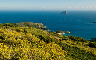 Greece’s Hidden Trails: 6 Amazing but Unknown Hikes