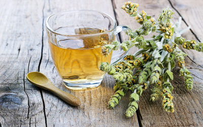 8 Healthy and Delicious Greek Herbal Teas