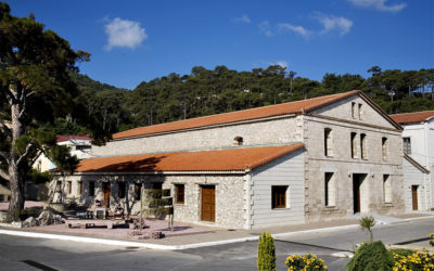 Samos Wines: Sweet Moments from Samos with Love