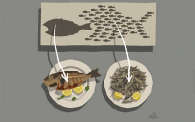 On the Art of the Political Cartoon