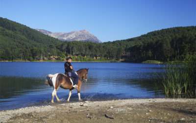 In the Mountains of Corinth