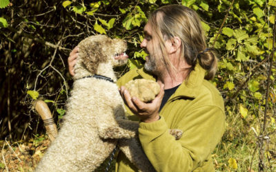 Giant White Truffle Found in the North of Greece