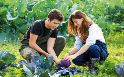 The American Farm School: 21st-Century Farming in Thessaloniki