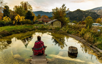 Feeling Healthy and Whole: Holistic Wellness Retreats in Greece