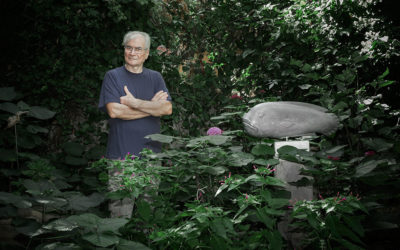 The Prehistoric Giant Tortoise Discovered in Greece