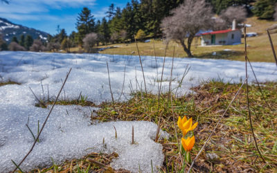 Twelve Months of Greece