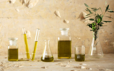 Superfood: Why Greek Olive Oil is a Food and Medicine in One