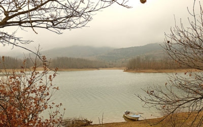 Karditsa: The Little Heart of Thessaly