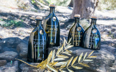 4th Cretan Olive Oil Competition Highlights Sophistication of Crete’s Oils