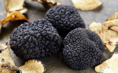 Greek Truffles Can Now Be Sniffed Out at Top US Restaurants