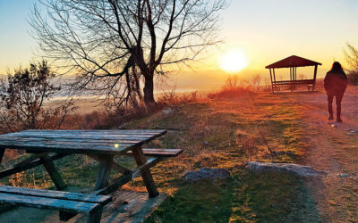 Beyond Birdwatching: 9 Other Activities Around Lake Kerkini