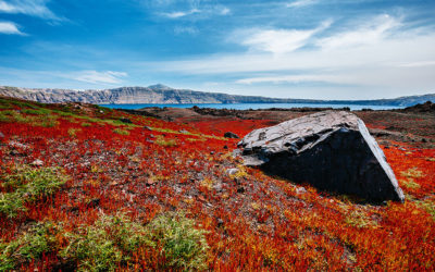 Resisting Overexploitation: Santorini’s Protectors