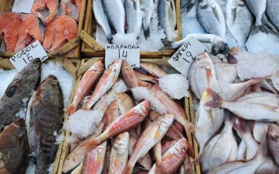 Greek Fish Translated: A Guide to Greece’s Seafood