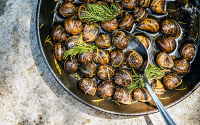 Recipe: How to Cook Snails Cretan-Style