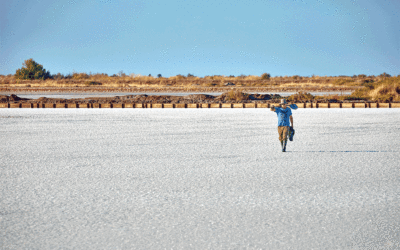 Birdwatching, Salt Flats and Caviar: A Guide to Messolongi