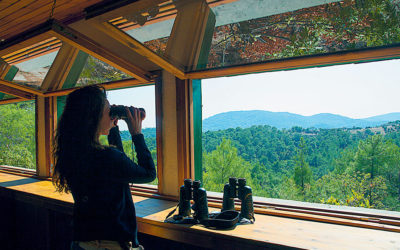 Birdwatching and Silk: A Road Trip from the Evros Delta to Soufli