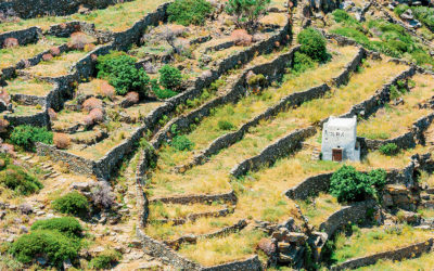 Rock On: Greece’s Drystone Walls Are Handmade Wonders
