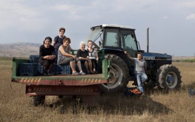 Documentary on a Greek Tomato’s Rebirth to Open at Berlin Film Fest