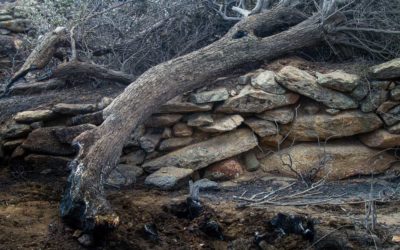 Cycladic Islands Through the Lens of Mark Wilman On Display in Milan